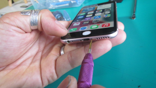 底部のネジ回す